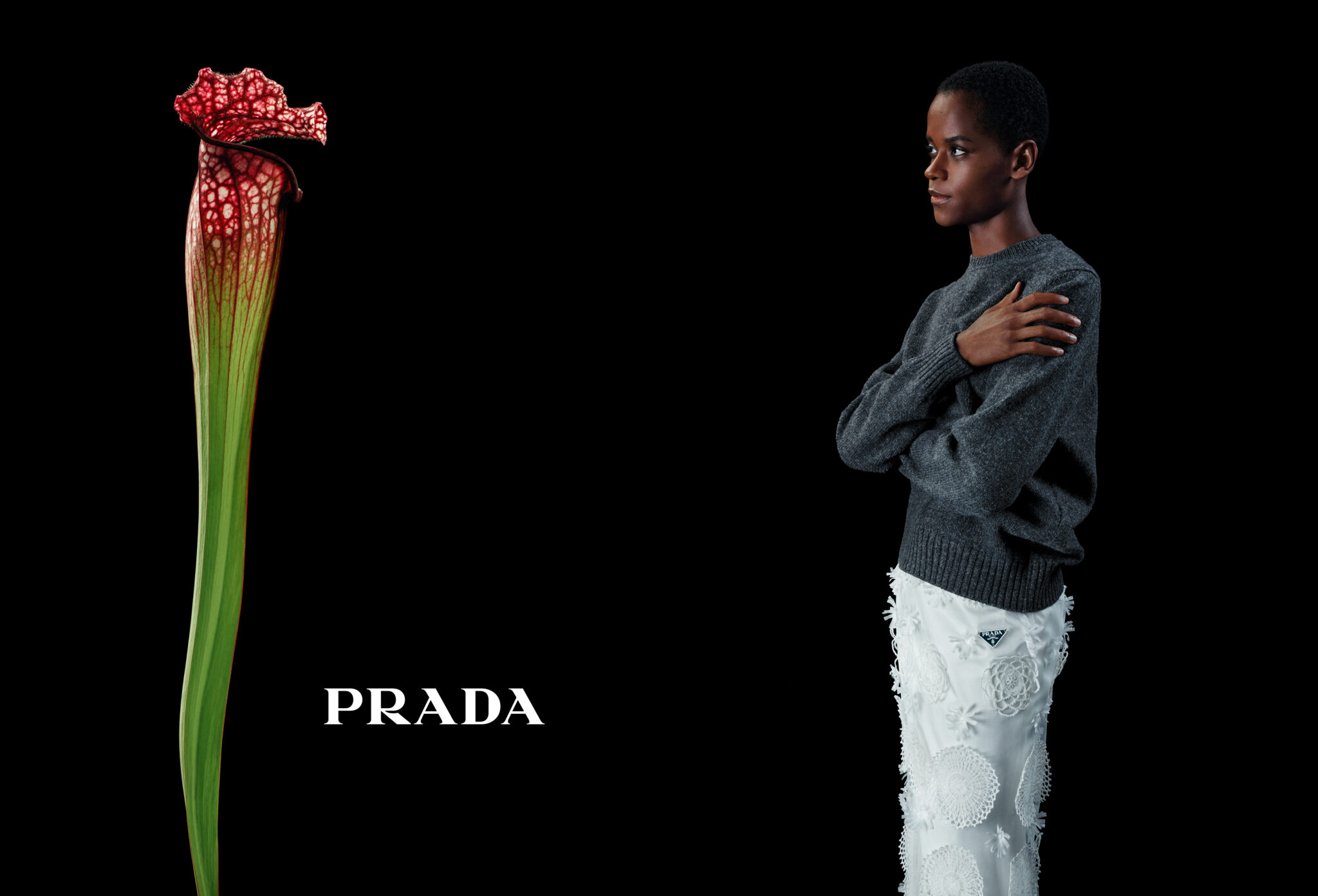 Prada S Fw Campaign Blooms Conversations Between Flowers And Humans