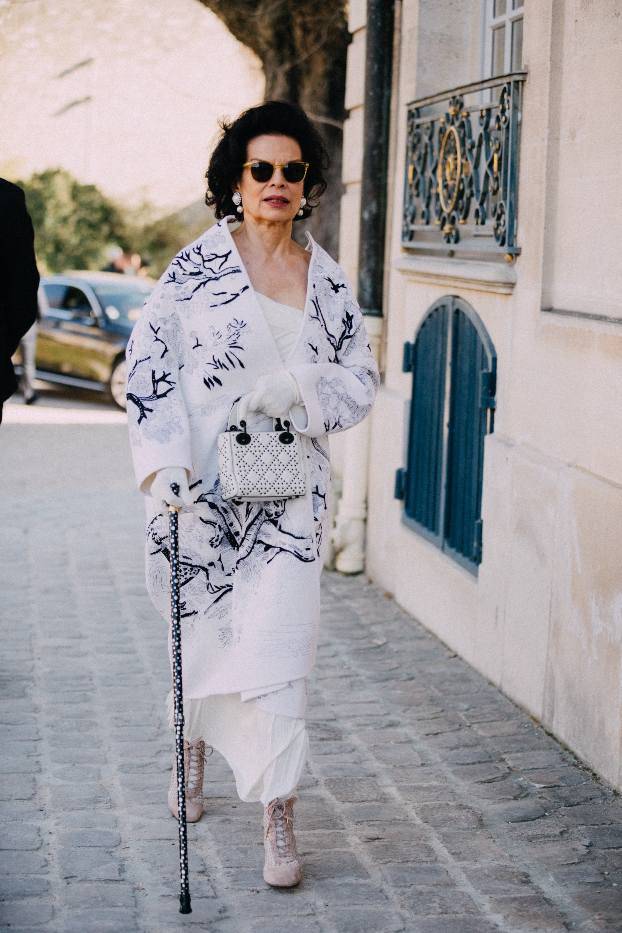 bianca jagger dior