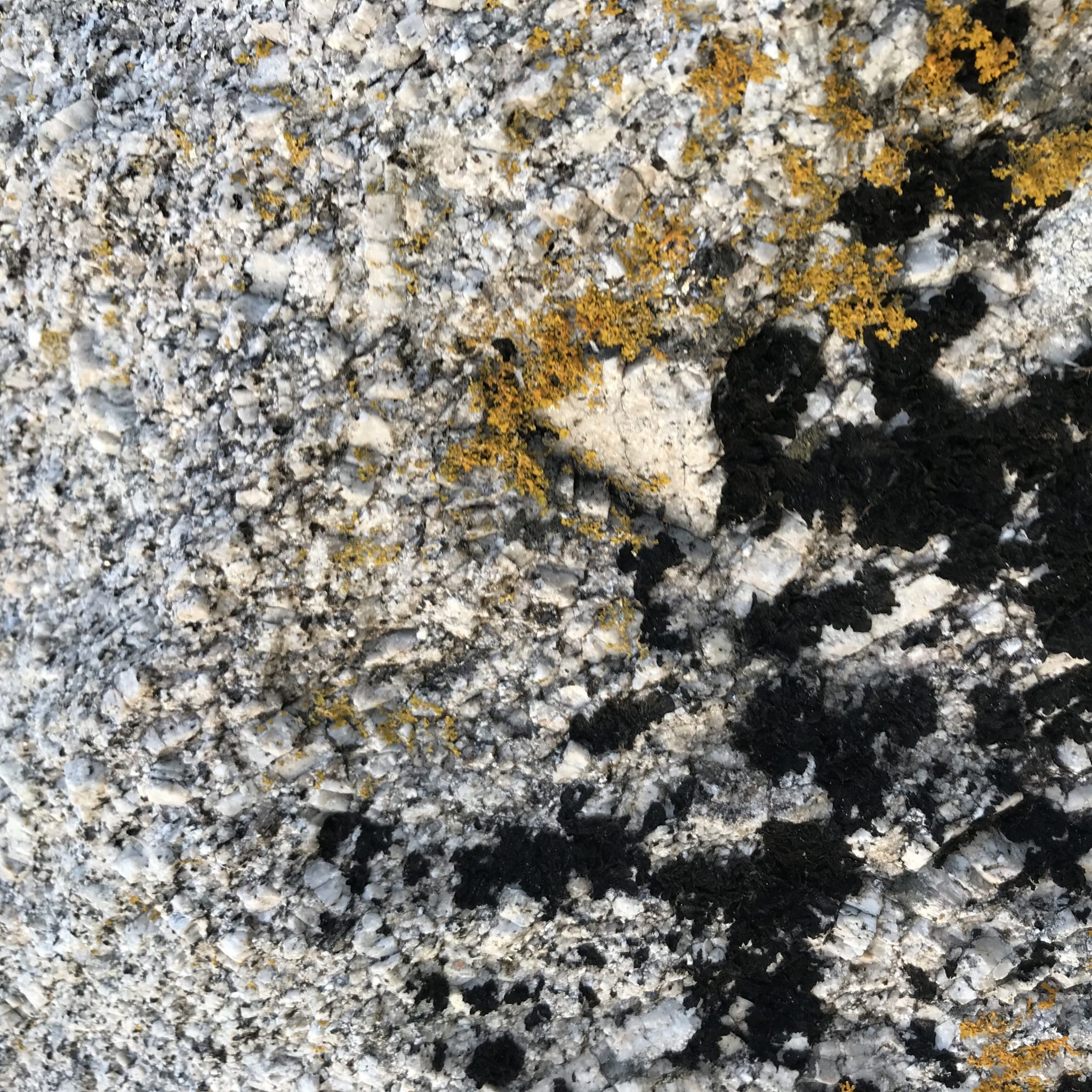  Moss-covered rock, detail. Images by Lucie and Luke Meier, shot in Zermatt, Switzerland.
