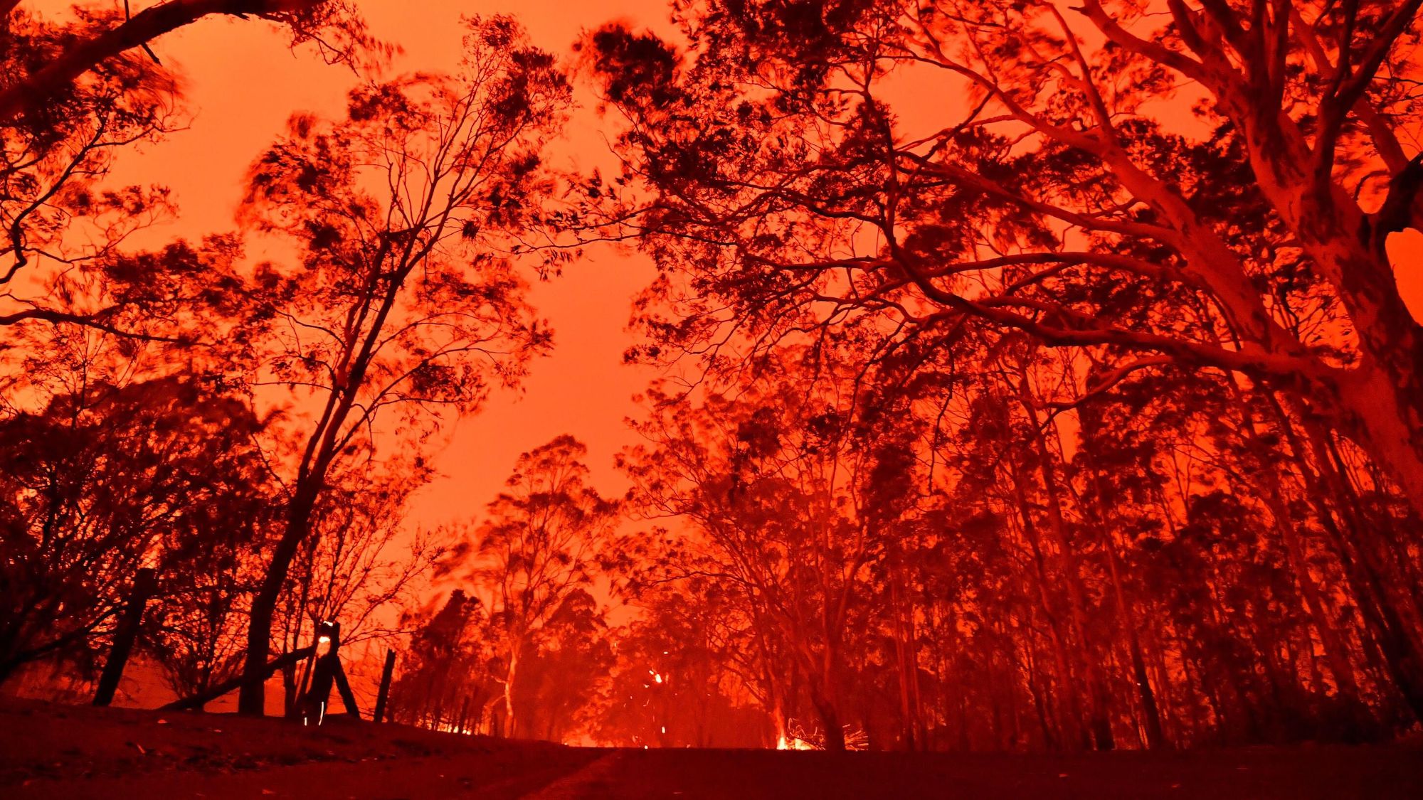 celebrities-react-to-the-australian-bushfires-v-magazine