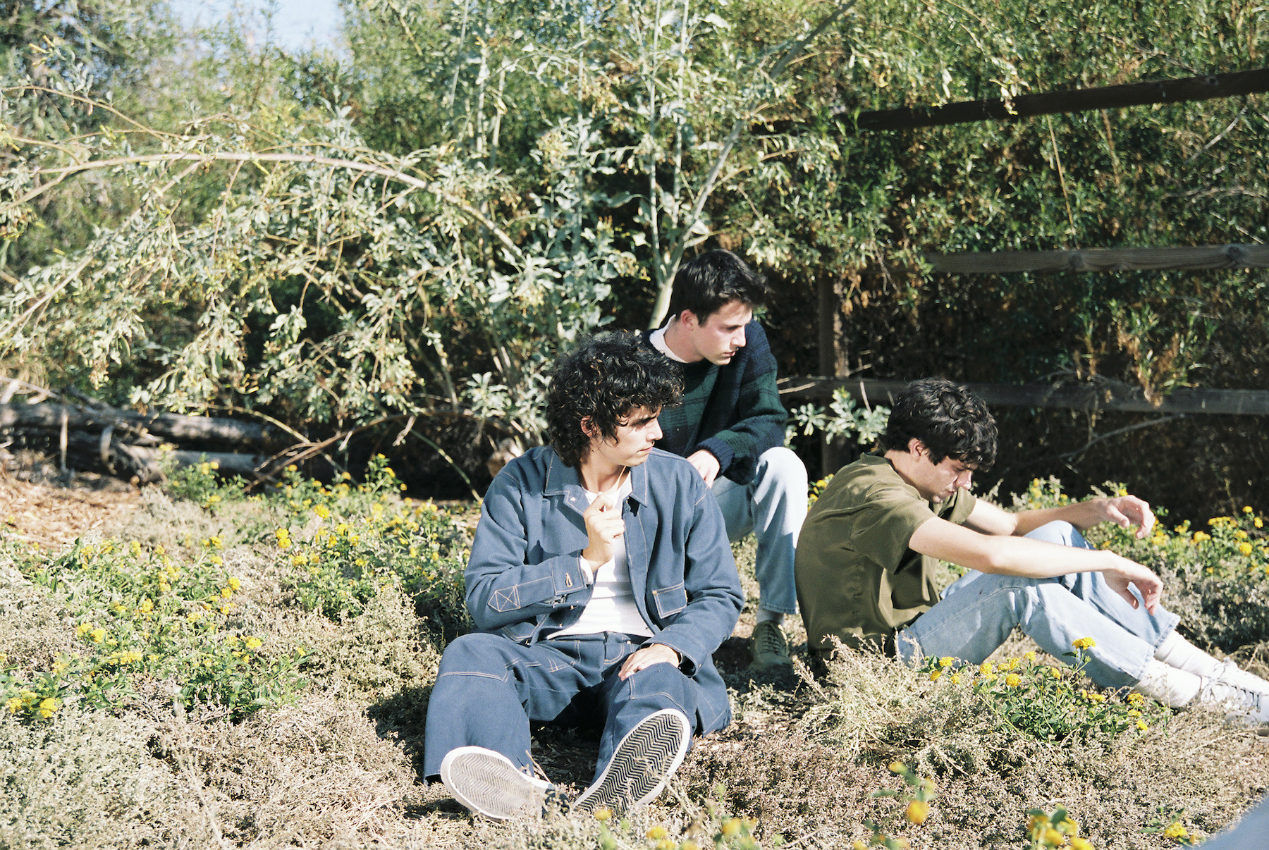 Tell Me That It's Over - Album by Wallows