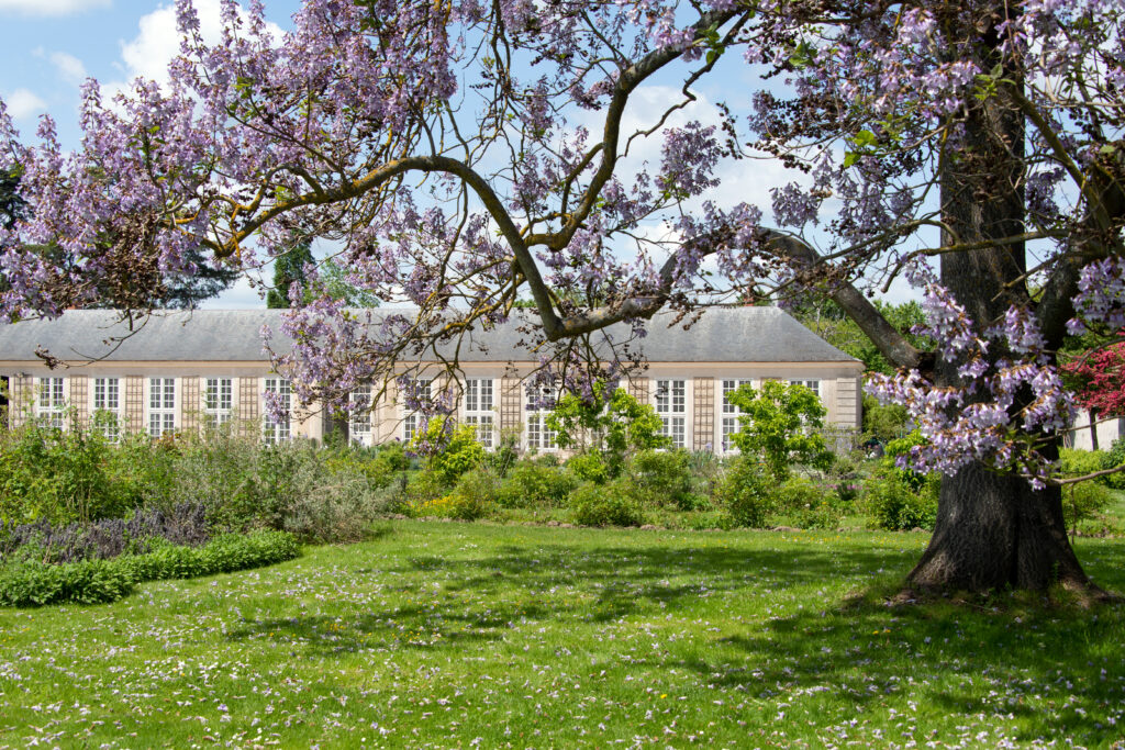 Creation of The Perfumer's Garden at the estate of Trianon