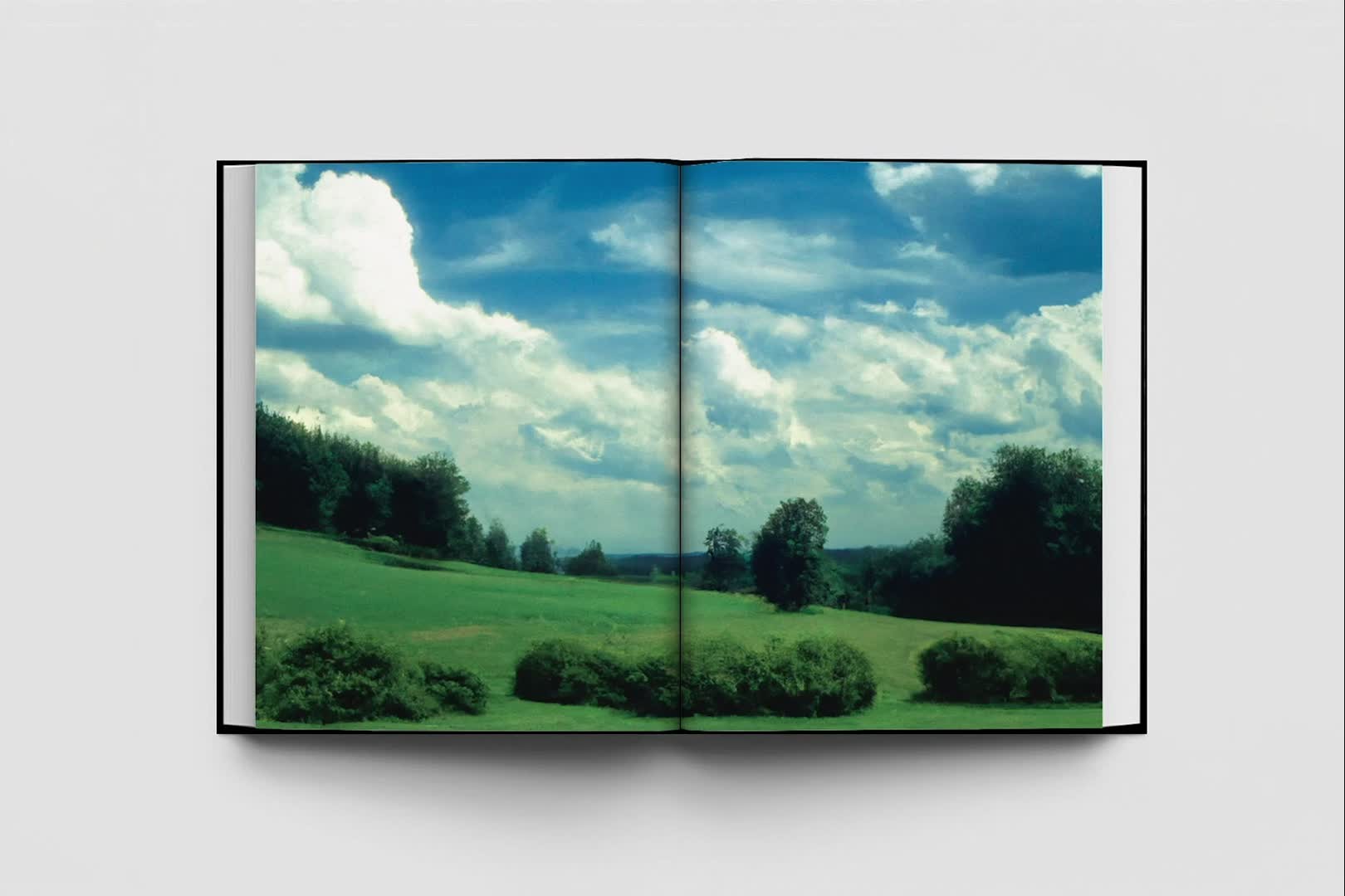 Filip Book Filip Koludrovic Releases New AI-Photography Book